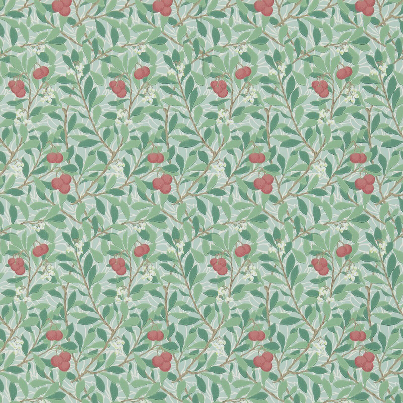 Arbutus Thyme/Coral