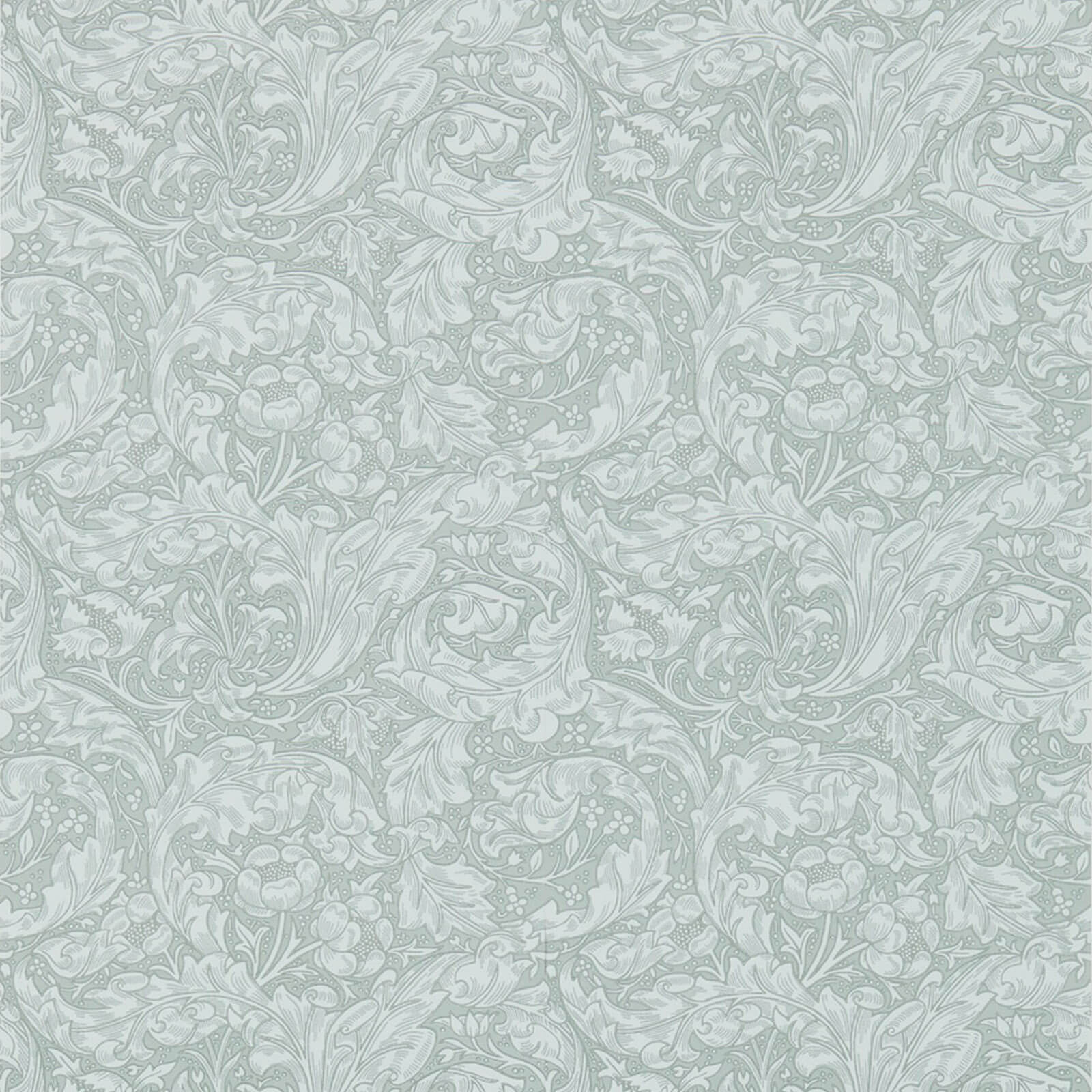 Bachelors Button Silver